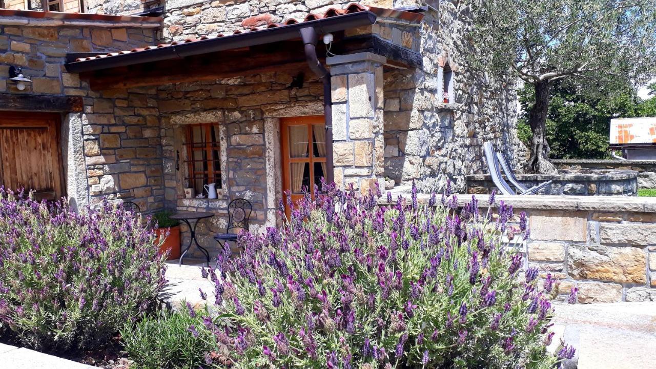 منزل الضيف Gračišče  في Wine House Rakar المظهر الخارجي الصورة