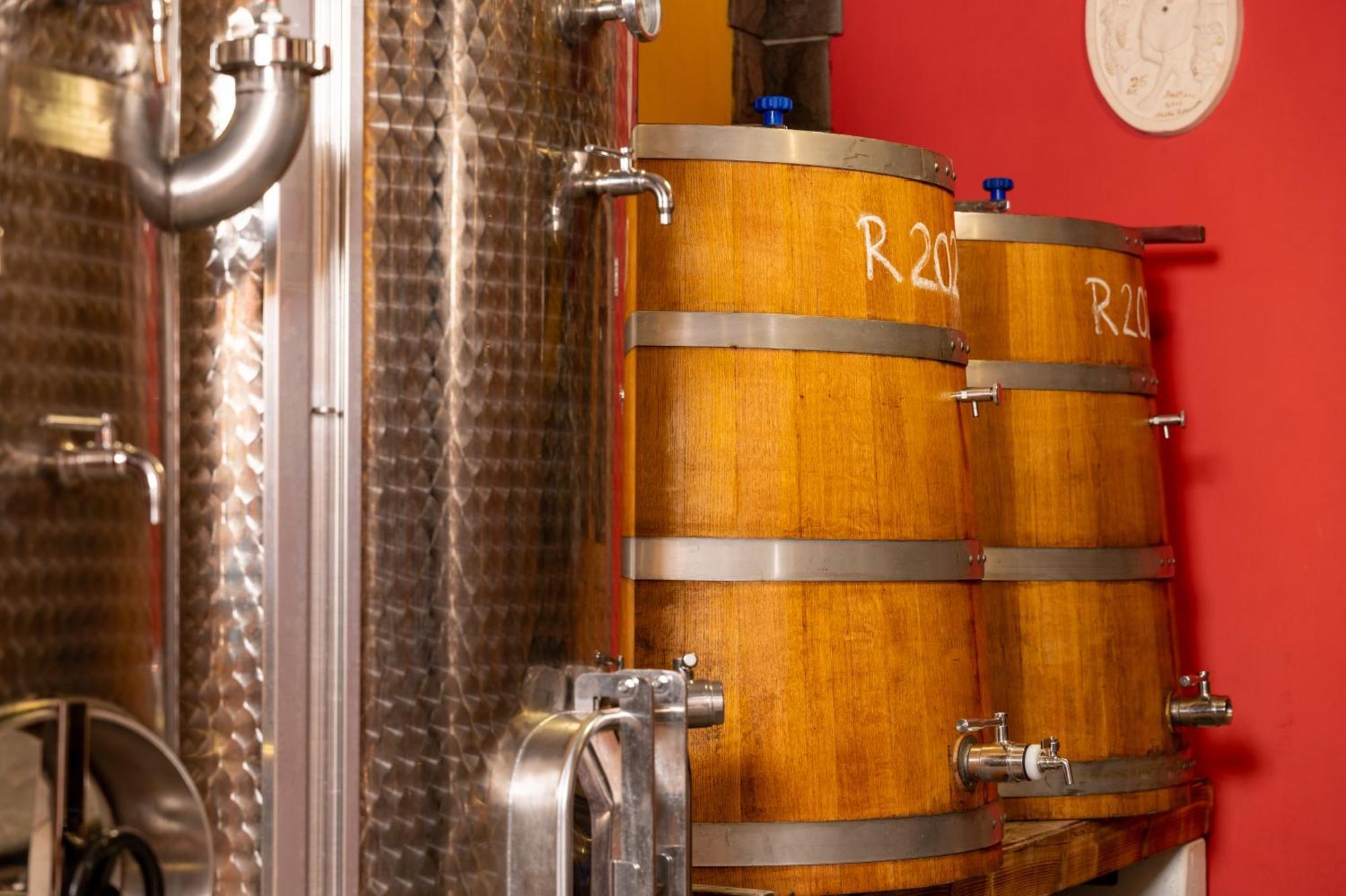 منزل الضيف Gračišče  في Wine House Rakar المظهر الخارجي الصورة