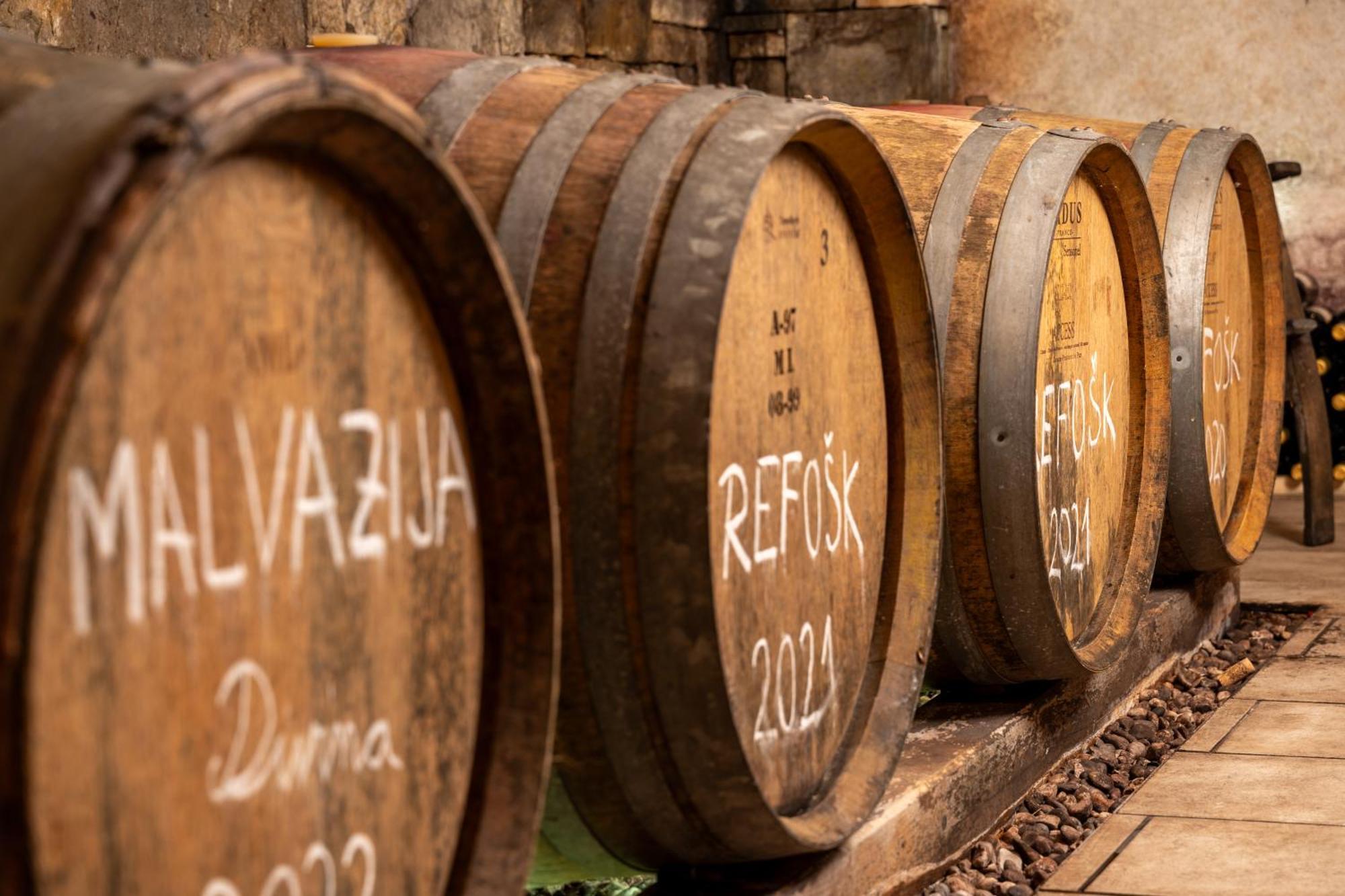 منزل الضيف Gračišče  في Wine House Rakar المظهر الخارجي الصورة