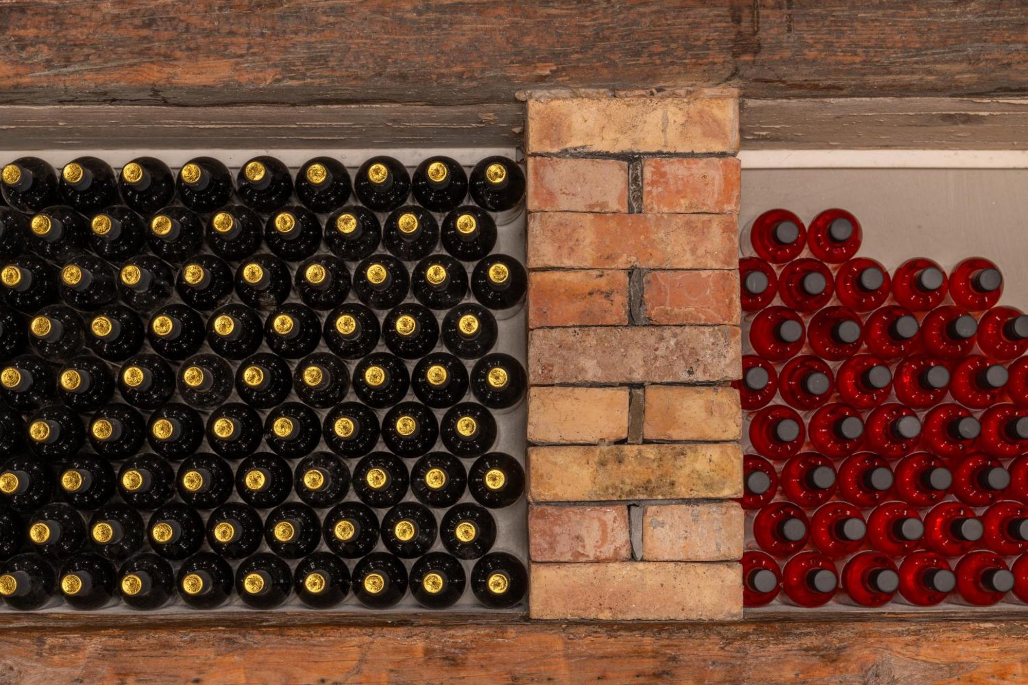منزل الضيف Gračišče  في Wine House Rakar المظهر الخارجي الصورة