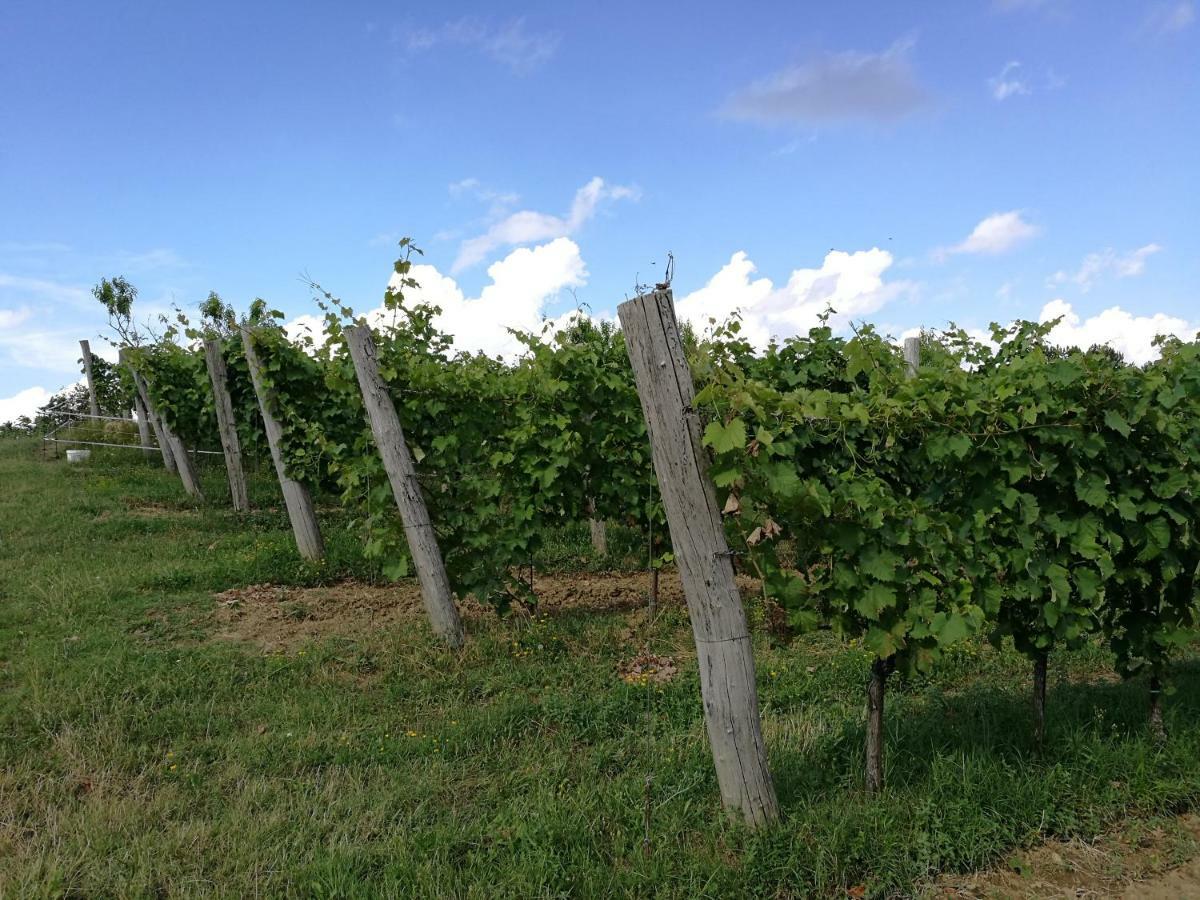 منزل الضيف Gračišče  في Wine House Rakar المظهر الخارجي الصورة
